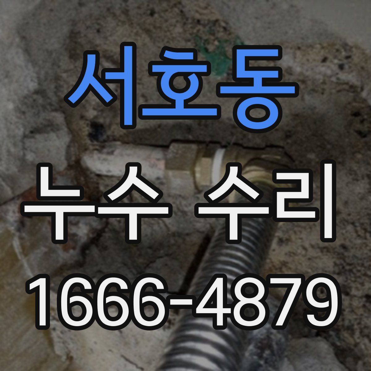 서호동 누수 수리