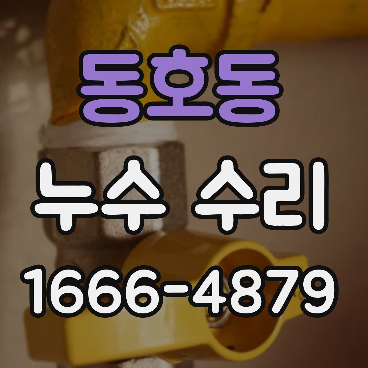 동호동 누수 수리