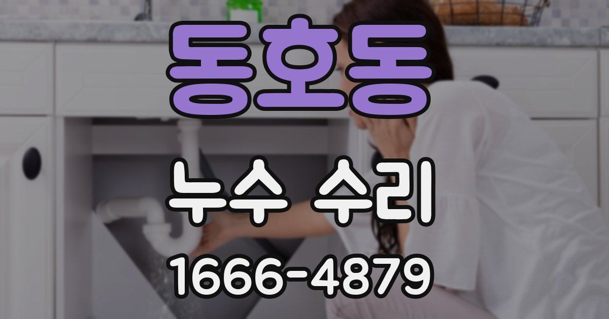 동호동 누수 수리