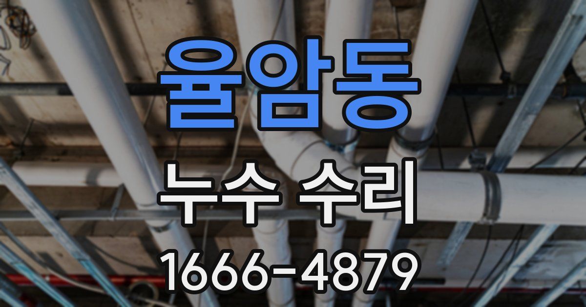 율암동 누수 수리