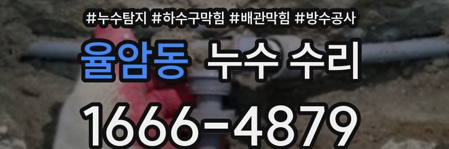 율암동 누수 수리