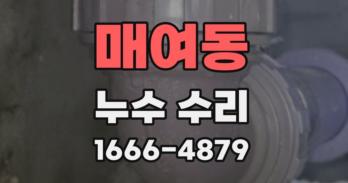 매여동 누수 수리