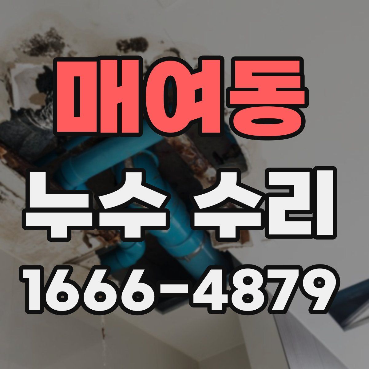 매여동 누수 수리