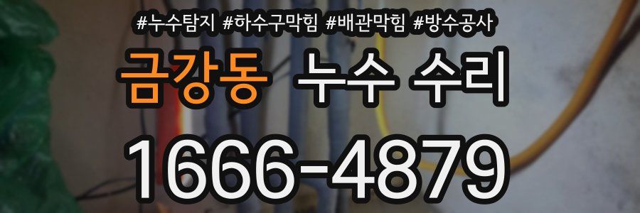 금강동 누수 수리