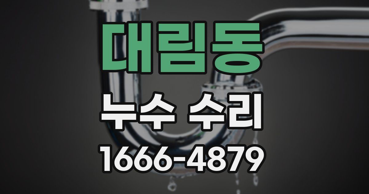 대림동 누수 수리