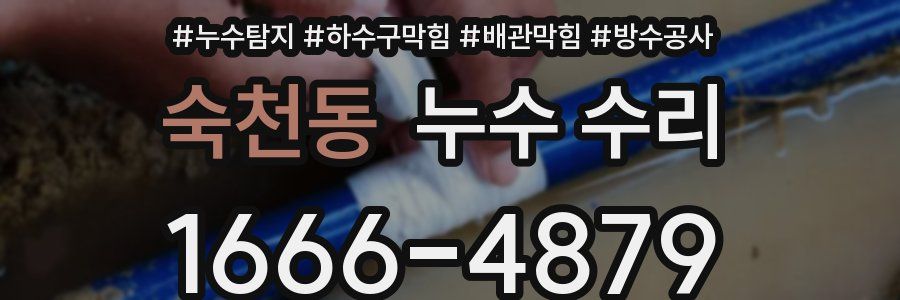 숙천동 누수 수리
