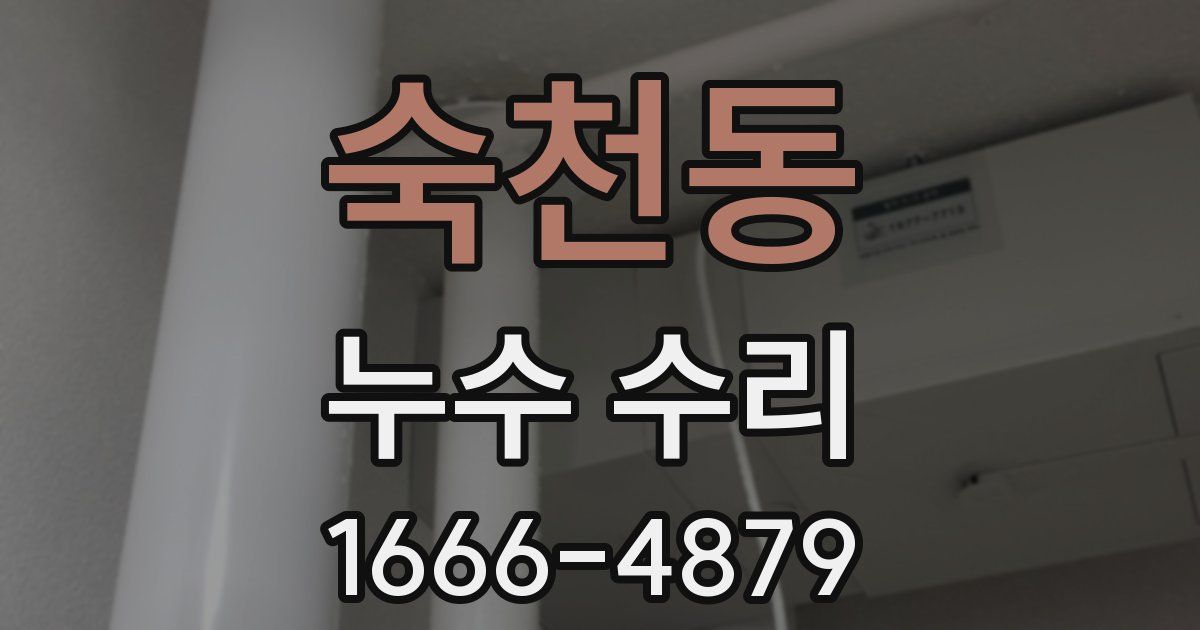 숙천동 누수 수리