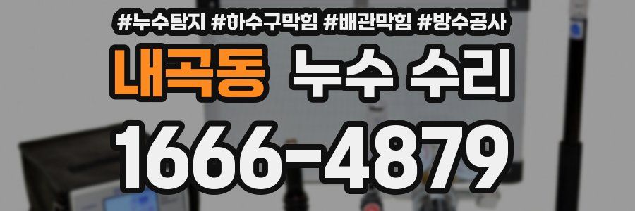 내곡동 누수 수리