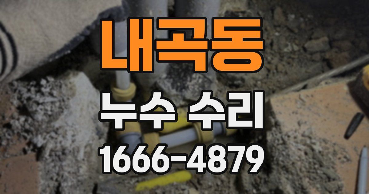 내곡동 누수 수리