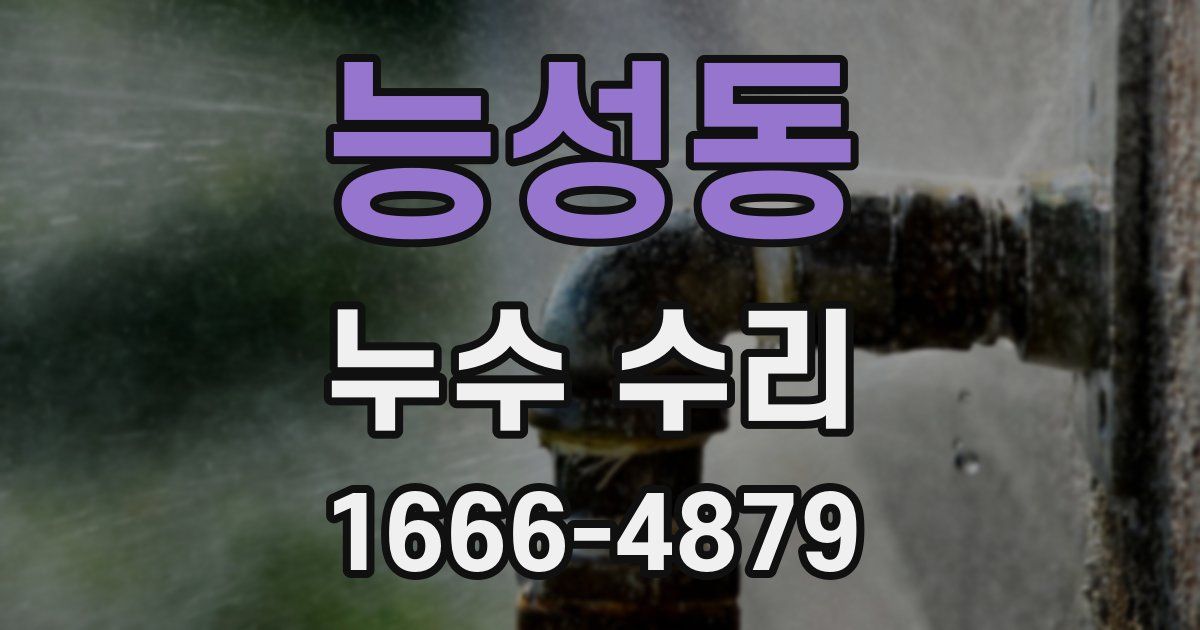 능성동 누수 수리