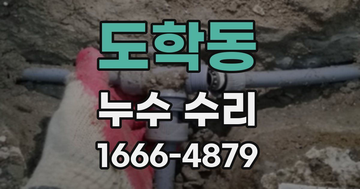 도학동 누수 수리