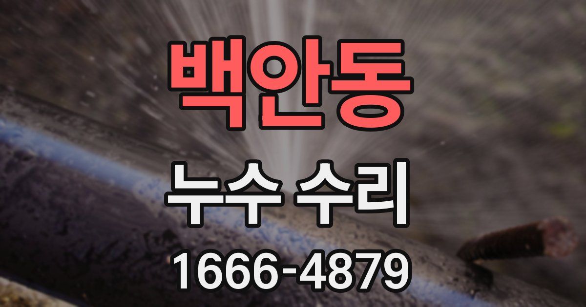 백안동 누수 수리