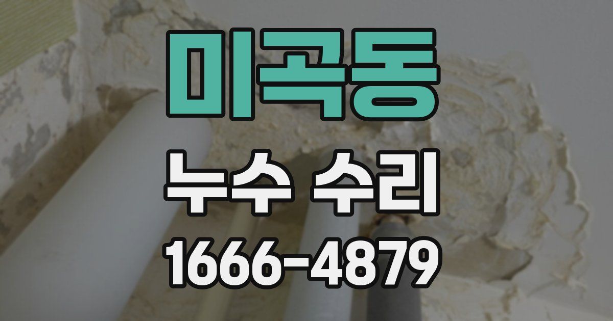 미곡동 누수 수리