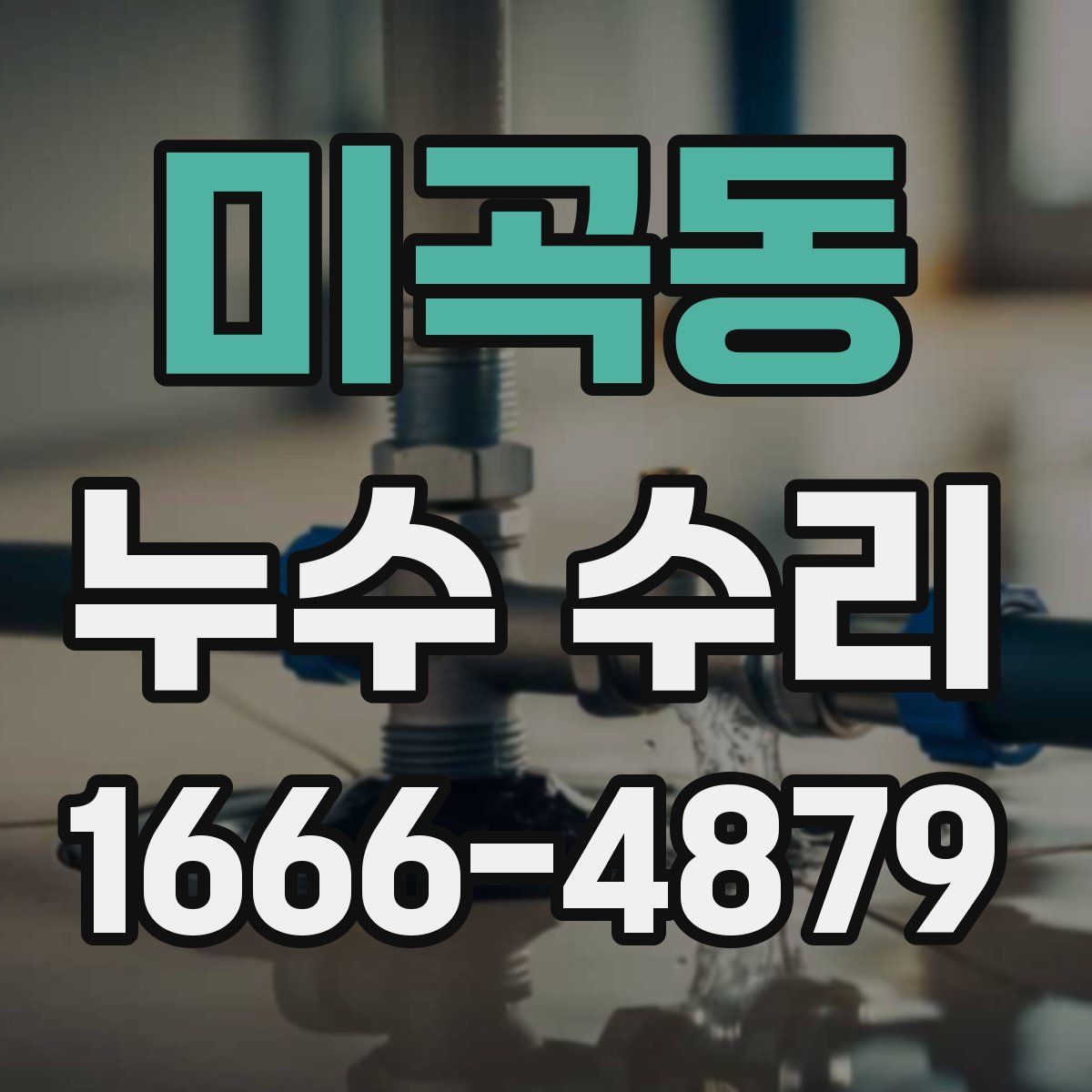 미곡동 누수 수리