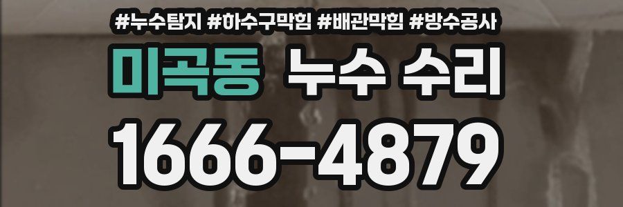 미곡동 누수 수리