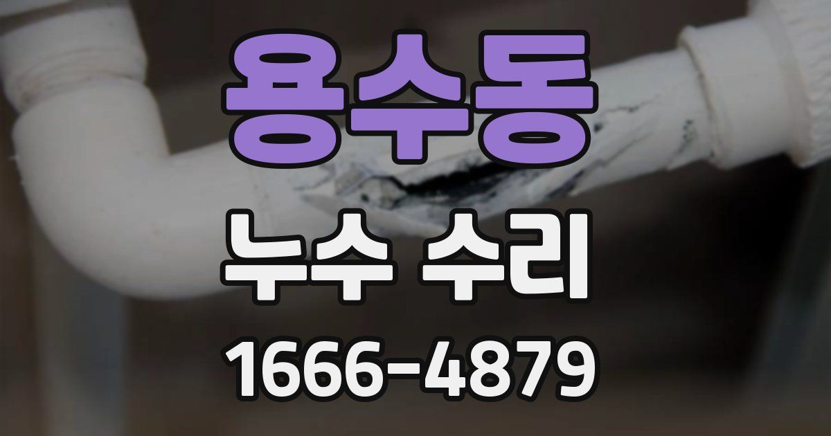 용수동 누수 수리
