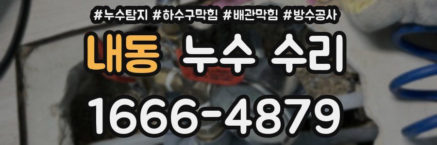 내동 누수 수리
