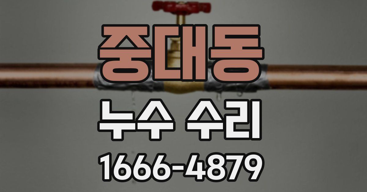 중대동 누수 수리