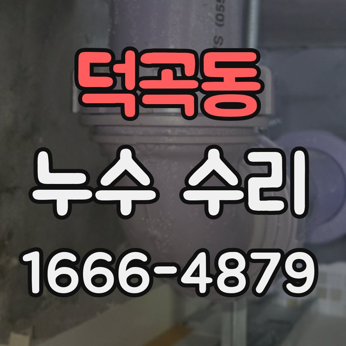덕곡동 누수 수리