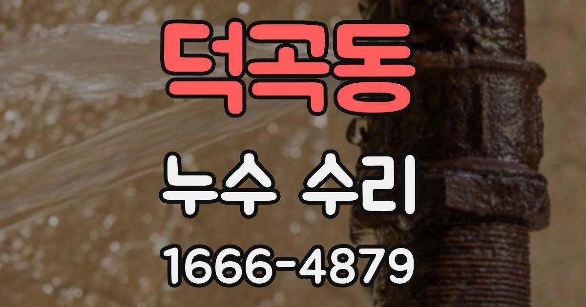 덕곡동 누수 수리