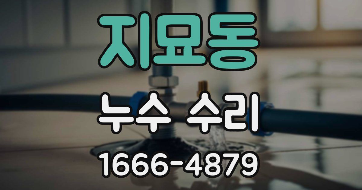 지묘동 누수 수리