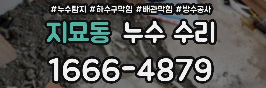 지묘동 누수 수리