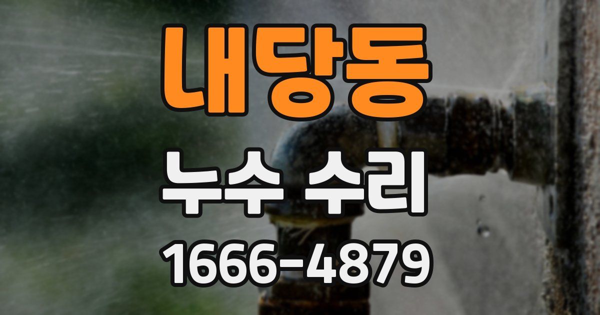 내당동 누수 수리