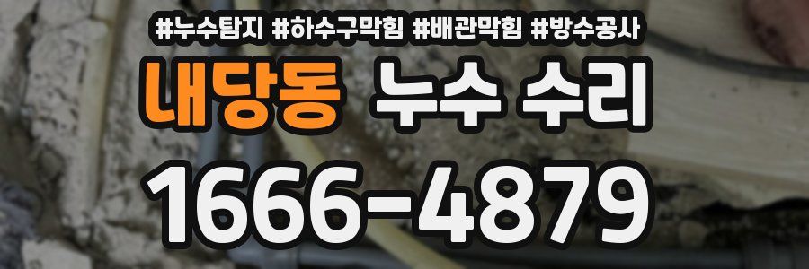 내당동 누수 수리