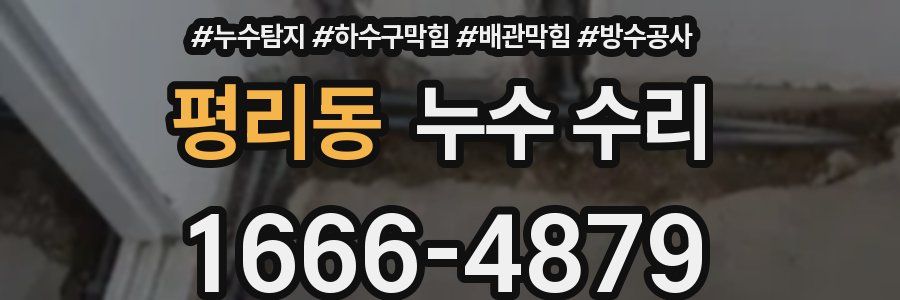 평리동 누수 수리