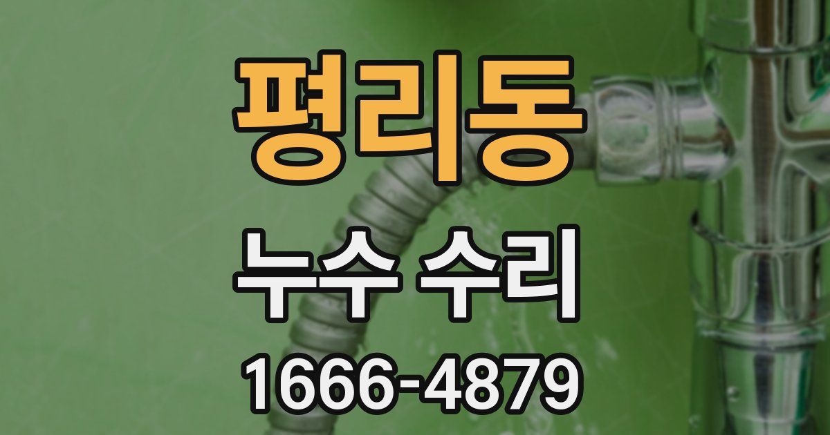 평리동 누수 수리