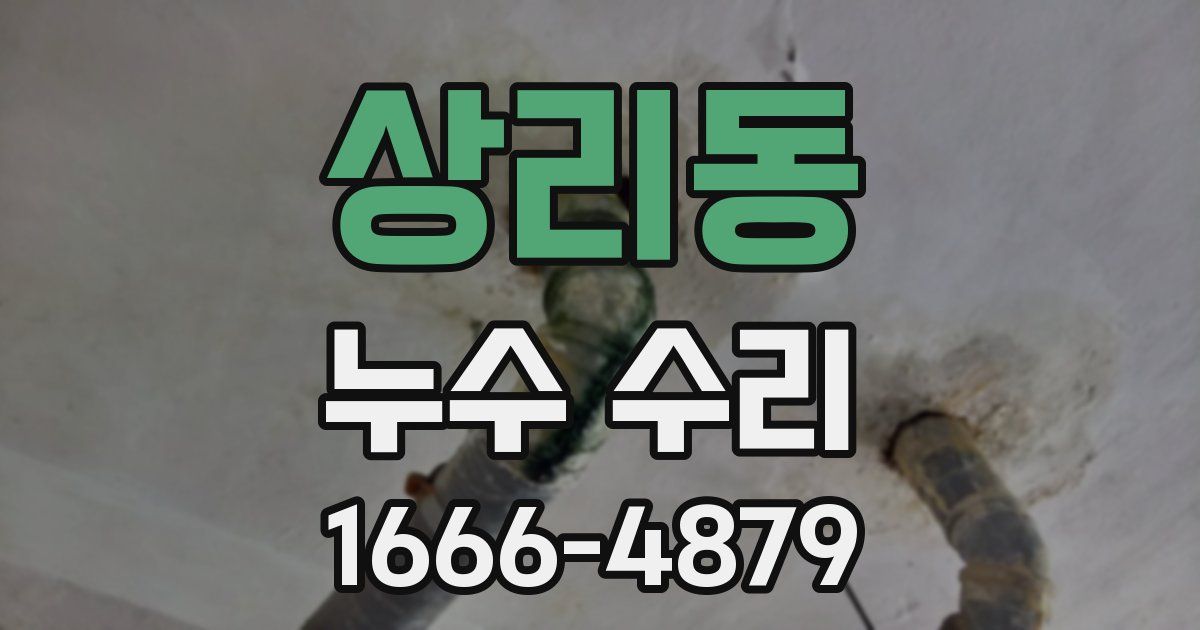 상리동 누수 수리