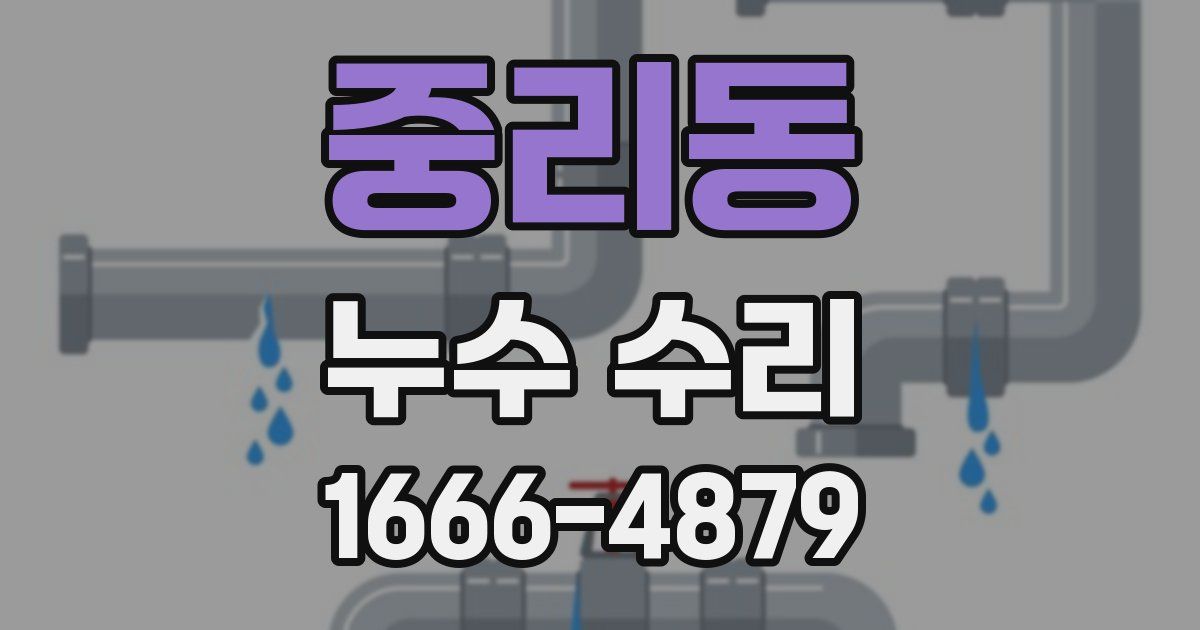 중리동 누수 수리