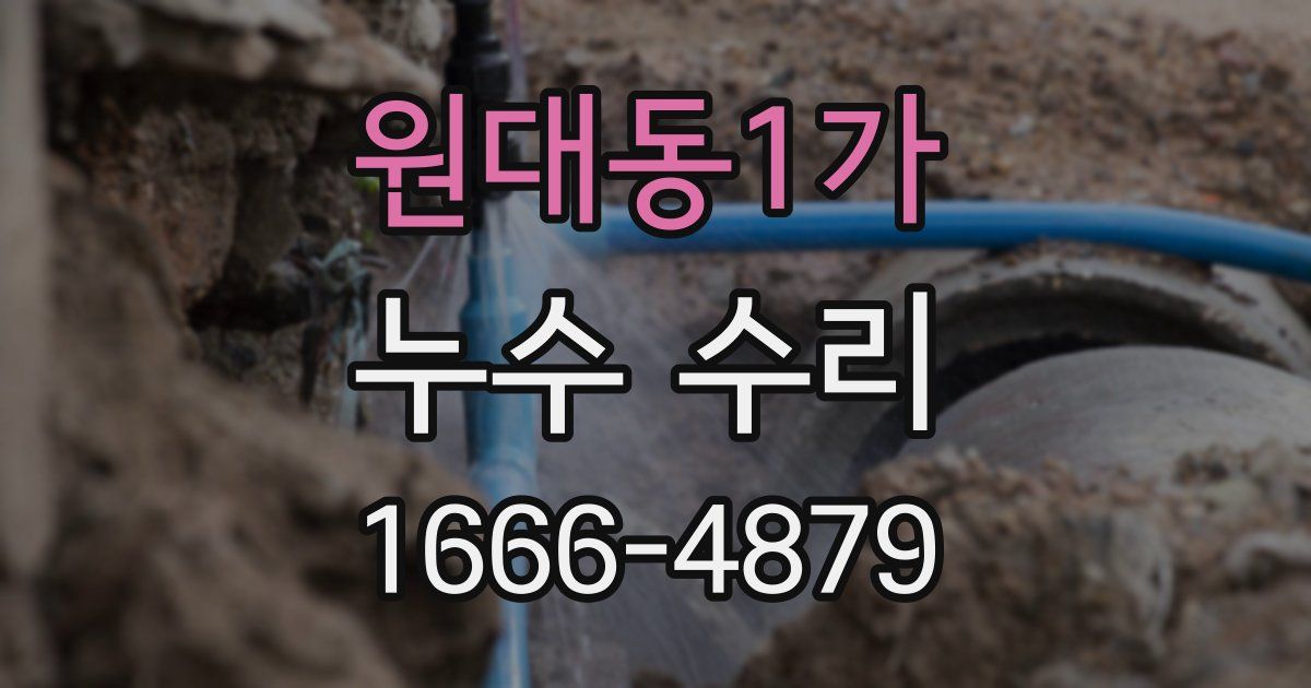 원대동1가 누수 수리