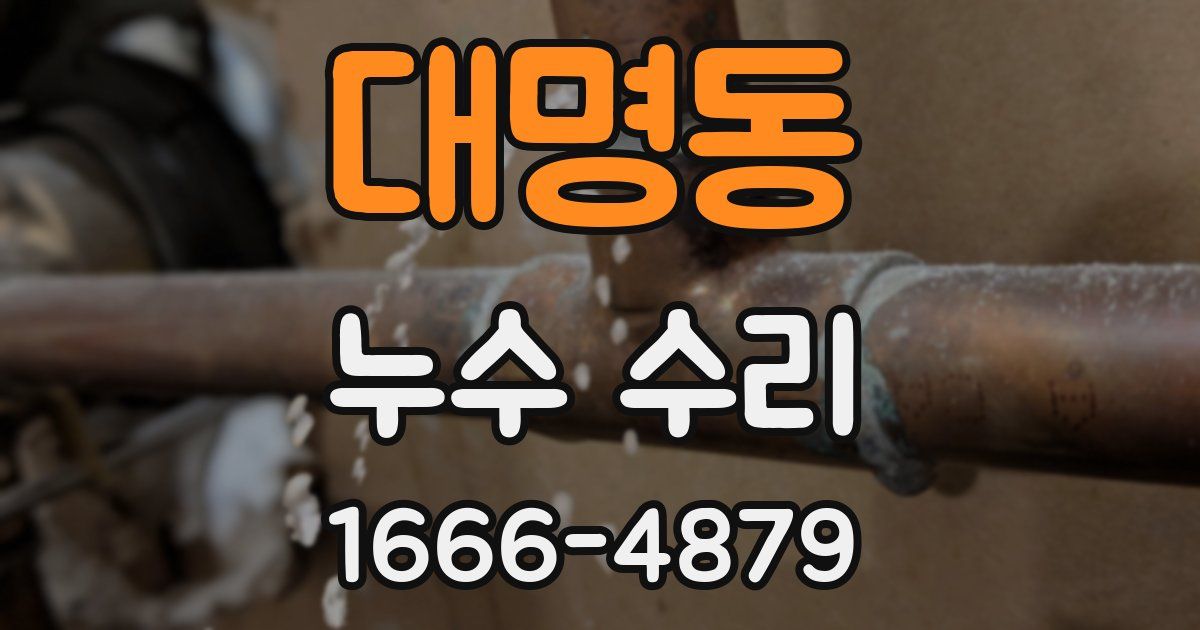 대명동 누수 수리