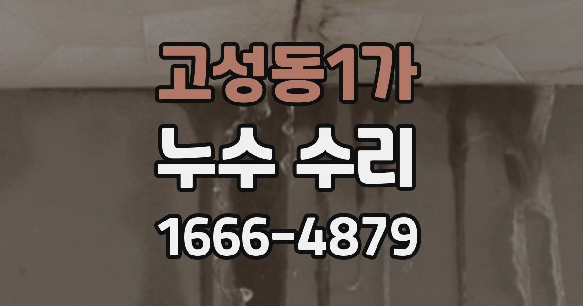고성동1가 누수 수리
