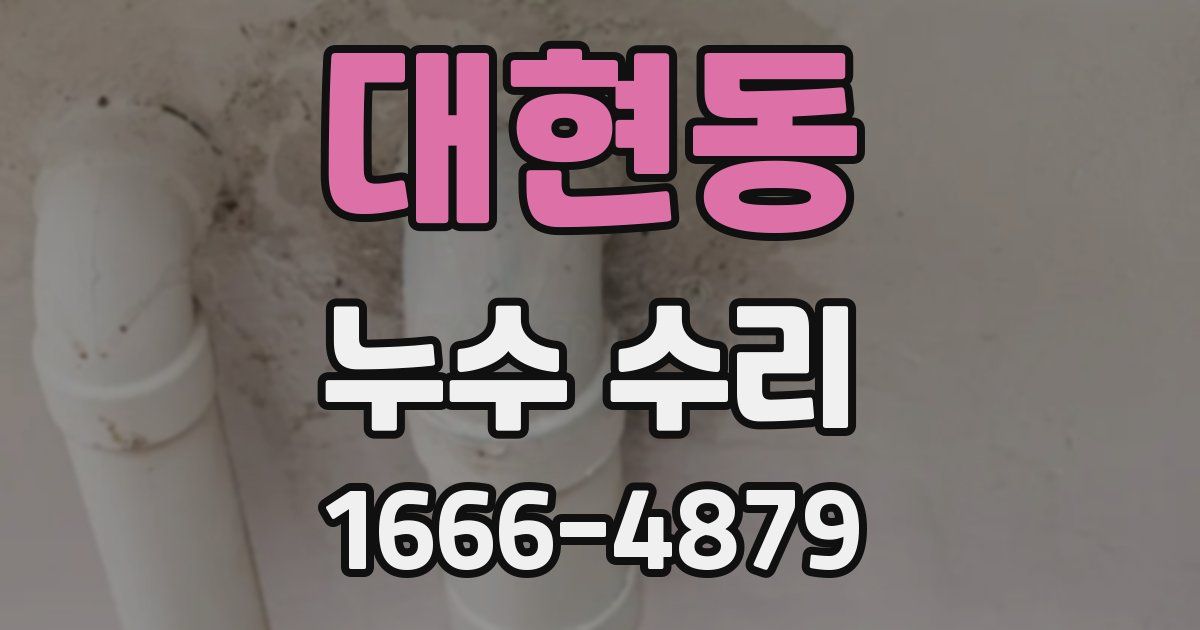 대현동 누수 수리