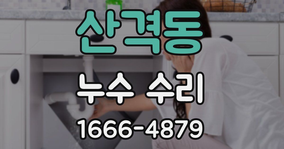 산격동 누수 수리