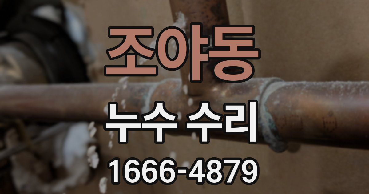 조야동 누수 수리