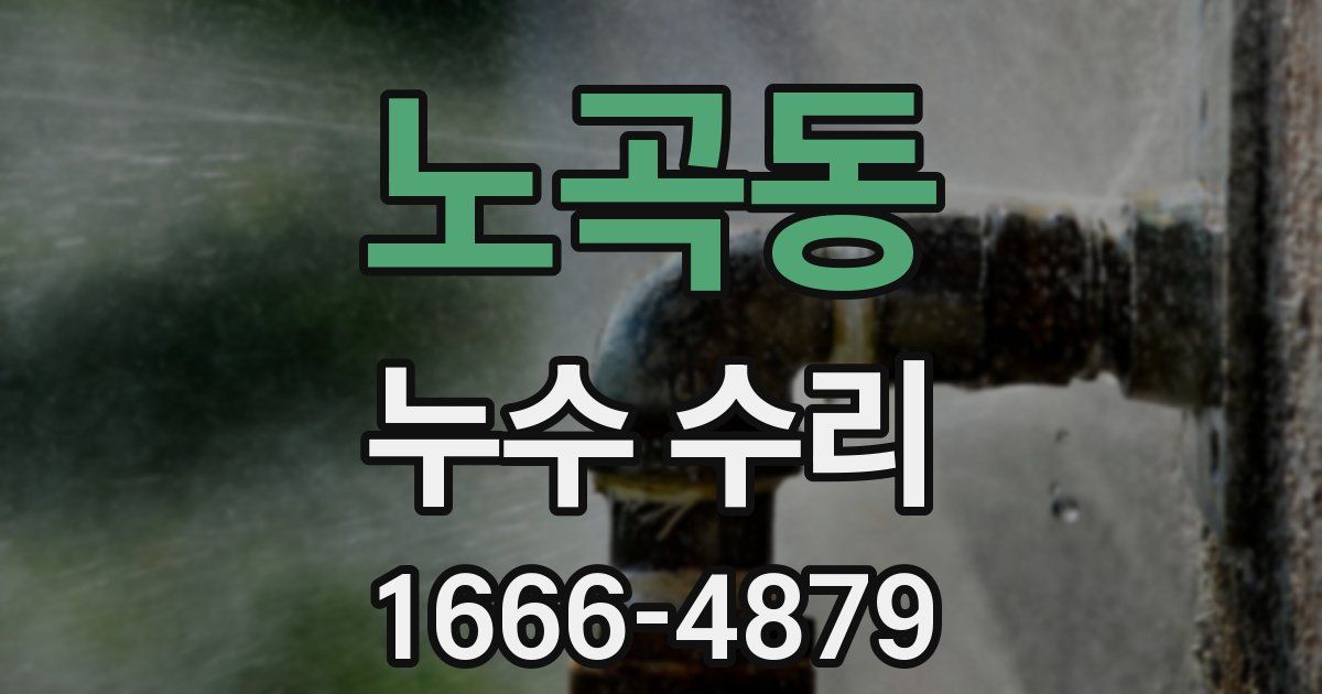 노곡동 누수 수리