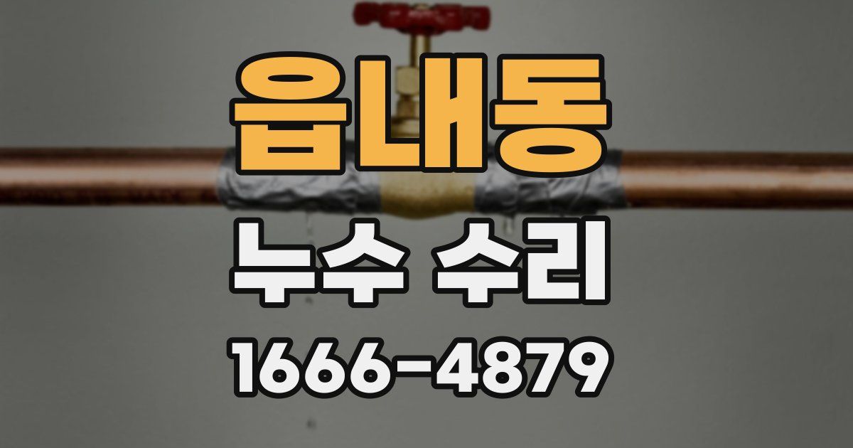 읍내동 누수 수리