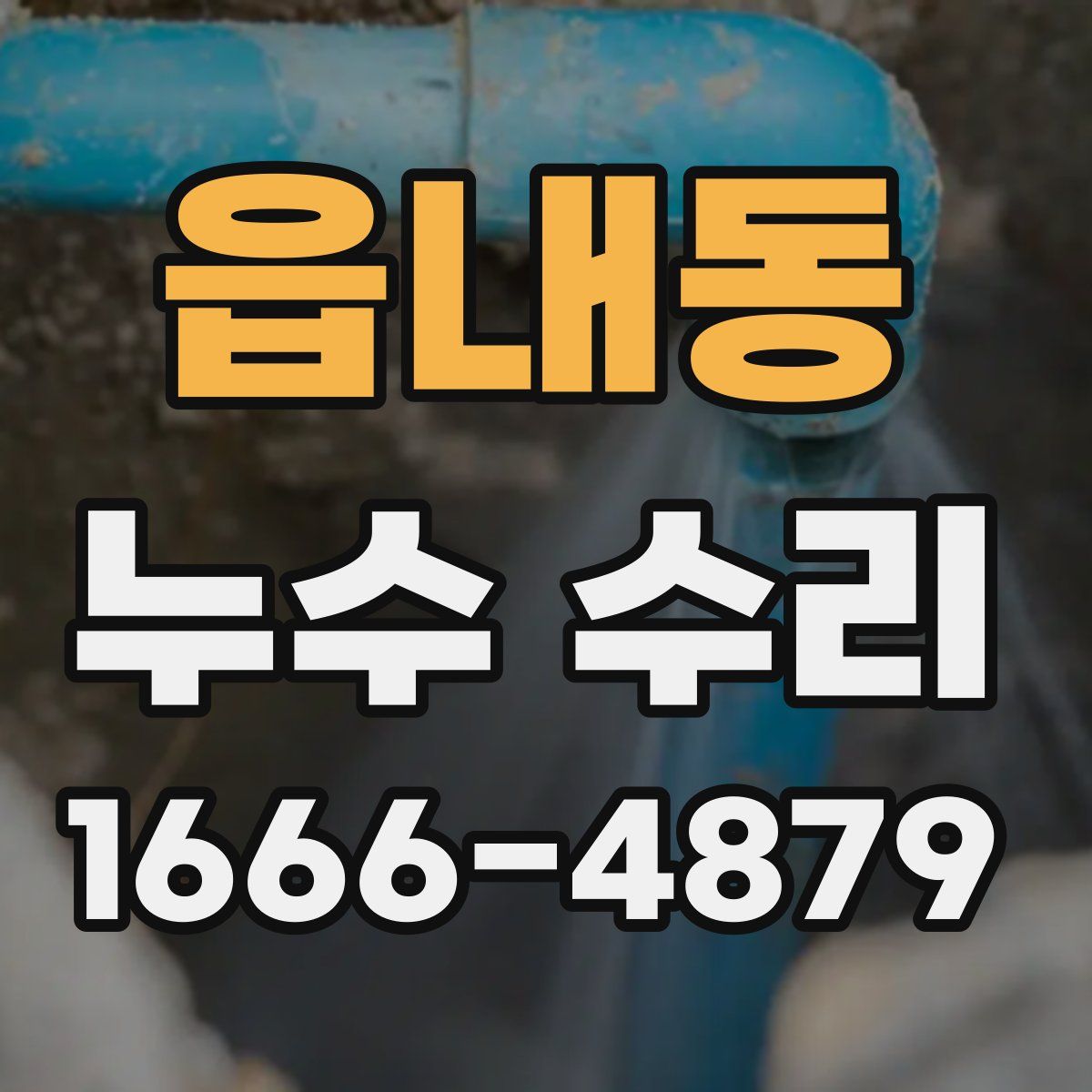 읍내동 누수 수리