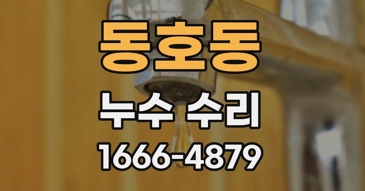 동호동 누수 수리