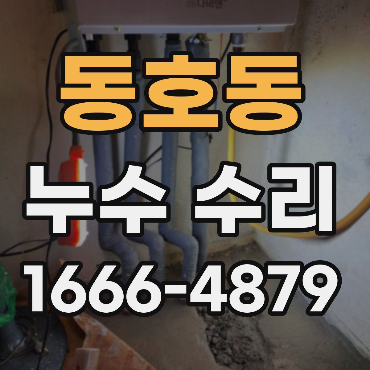동호동 누수 수리