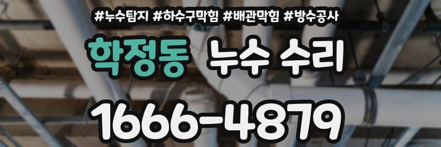 학정동 누수 수리