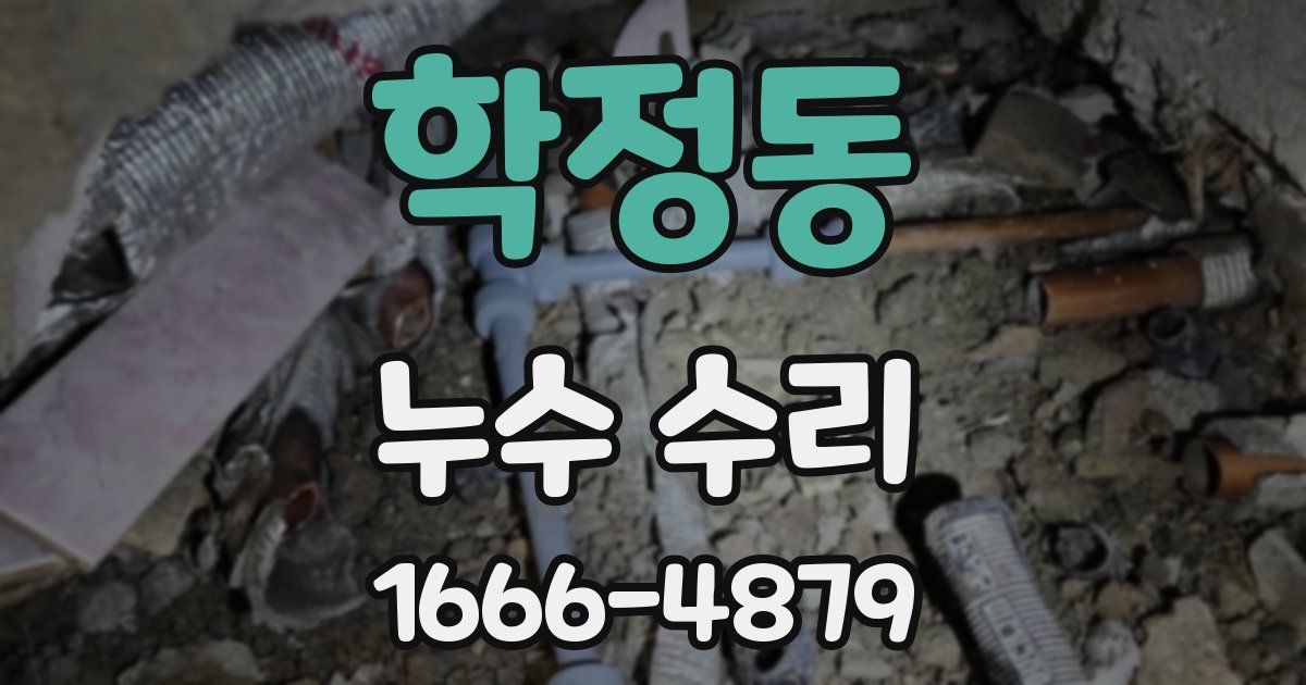 학정동 누수 수리