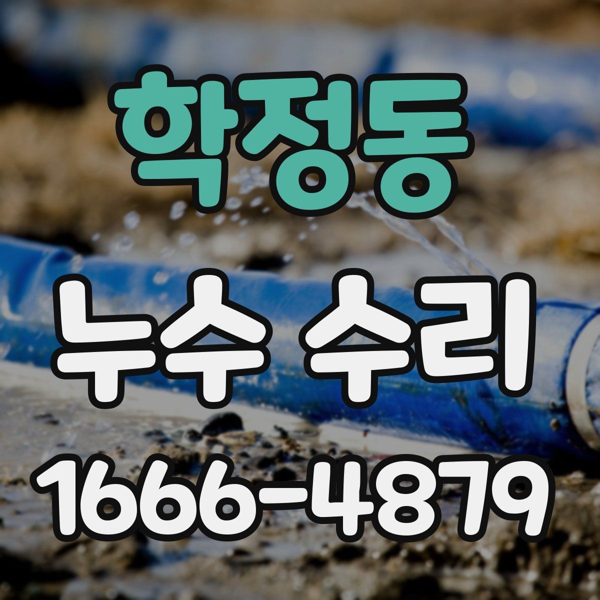 학정동 누수 수리