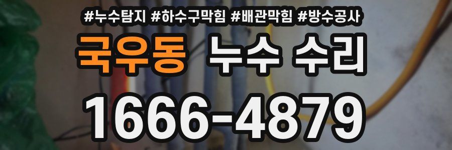 국우동 누수 수리