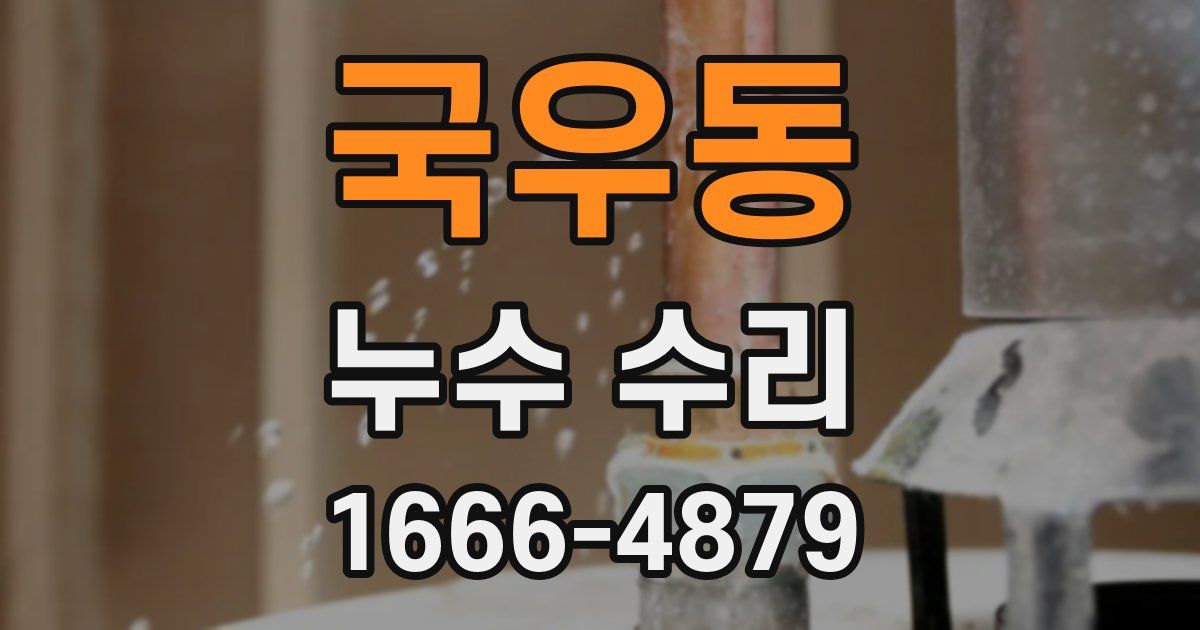 국우동 누수 수리
