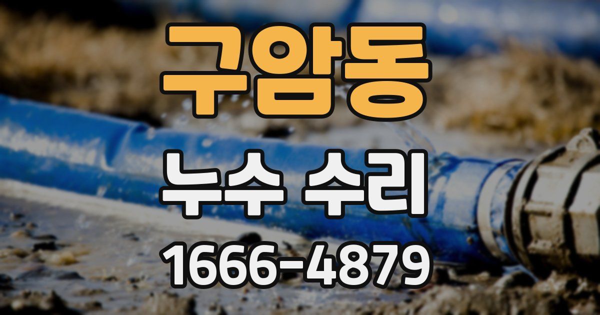 구암동 누수 수리