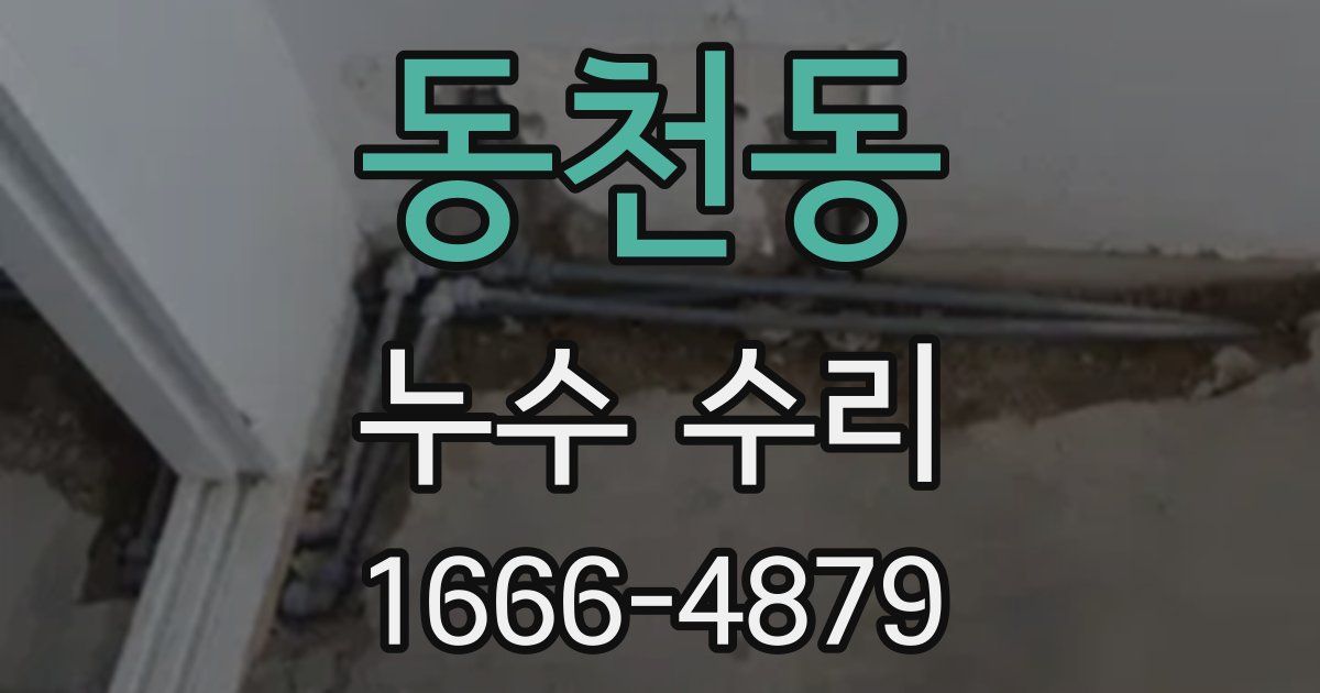 동천동 누수 수리